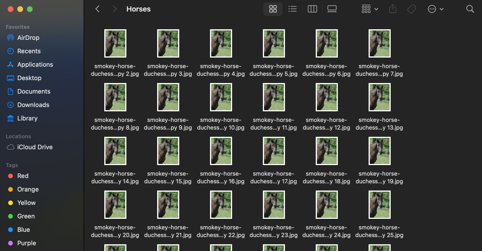 Step 1. Acquire the folder